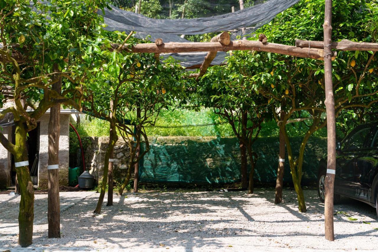 Montagnella Relax Bed and Breakfast Maiori Buitenkant foto